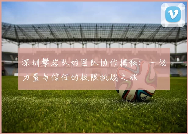 深圳攀岩队的团队协作揭秘：一场力量与信任的极限挑战之旅