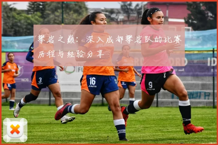 攀岩之巅：深入成都攀岩队的比赛历程与经验分享