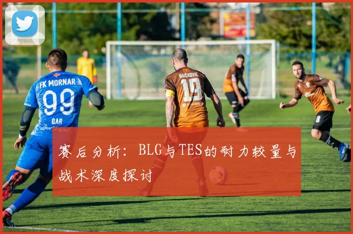 赛后分析：BLG与TES的耐力较量与战术深度探讨