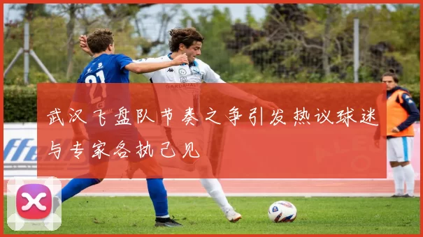 武汉飞盘队节奏之争引发热议球迷与专家各执己见