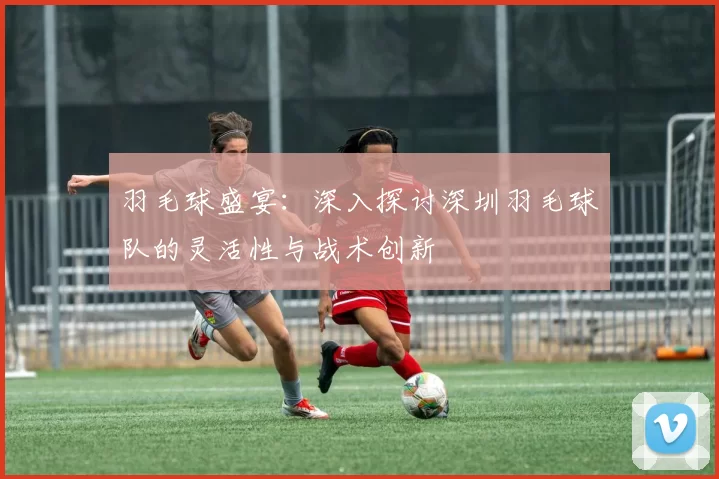 羽毛球盛宴：深入探讨深圳羽毛球队的灵活性与战术创新