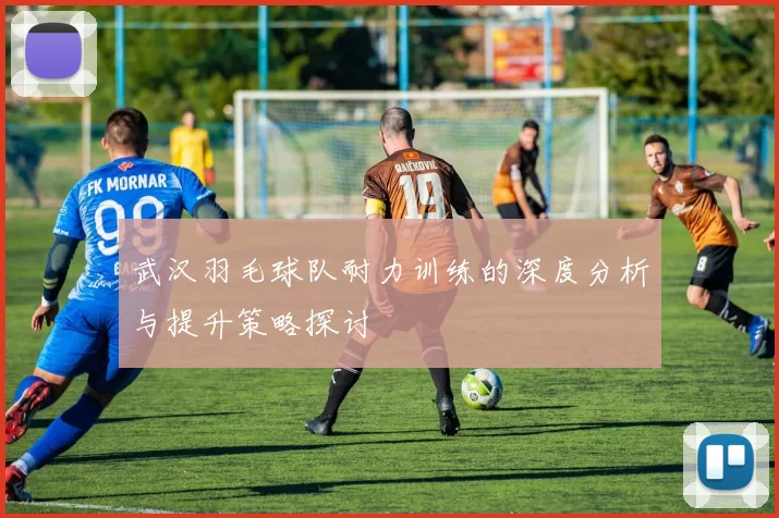 武汉羽毛球队耐力训练的深度分析与提升策略探讨