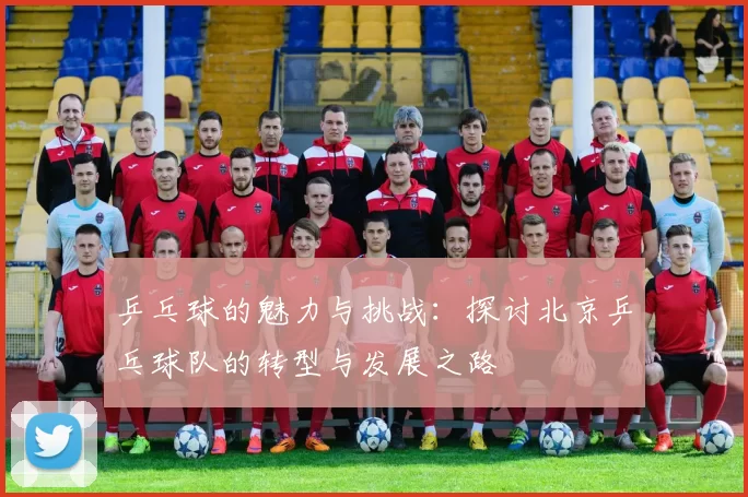 乒乓球的魅力与挑战：探讨北京乒乓球队的转型与发展之路