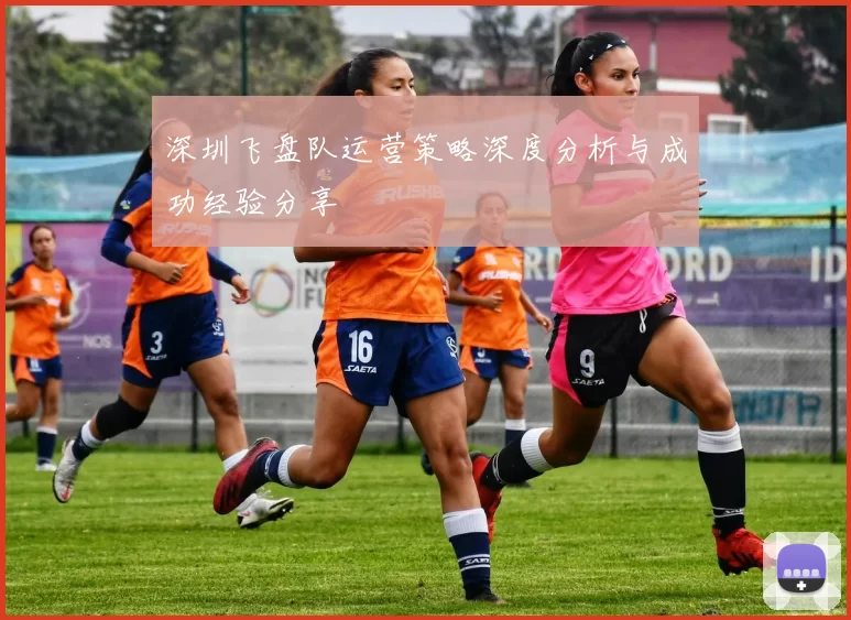 深圳飞盘队运营策略深度分析与成功经验分享