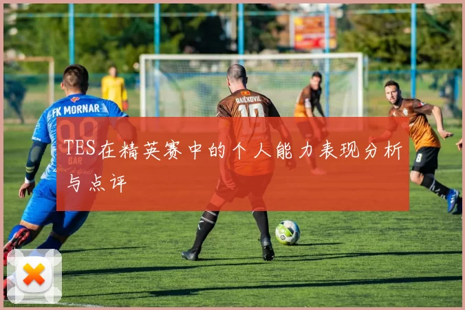 TES在精英赛中的个人能力表现分析与点评